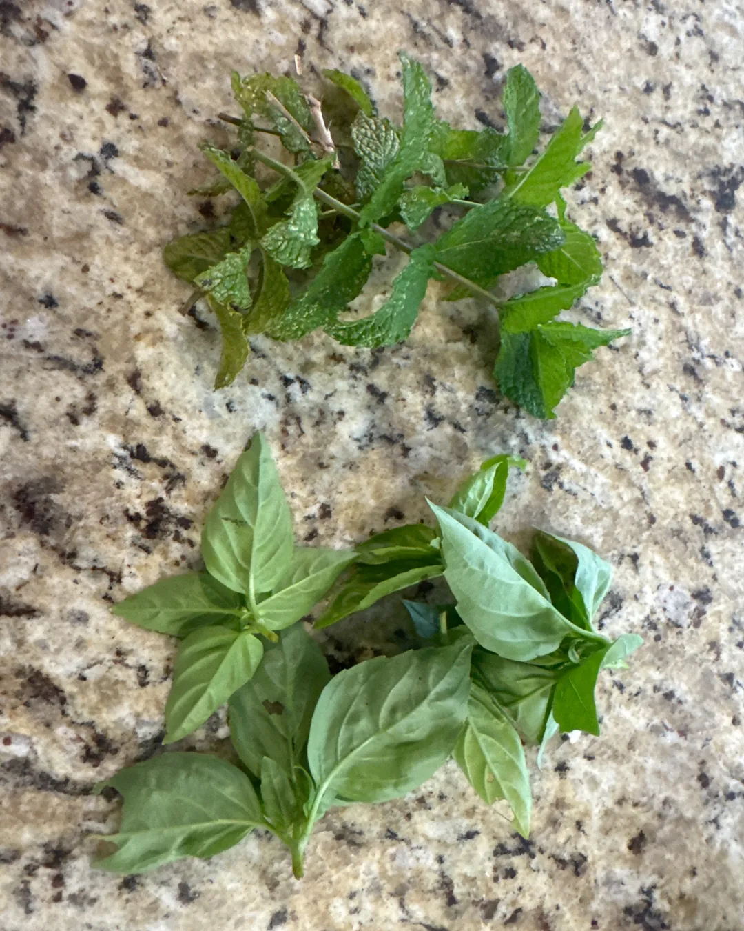 Harvested 12.0 grams