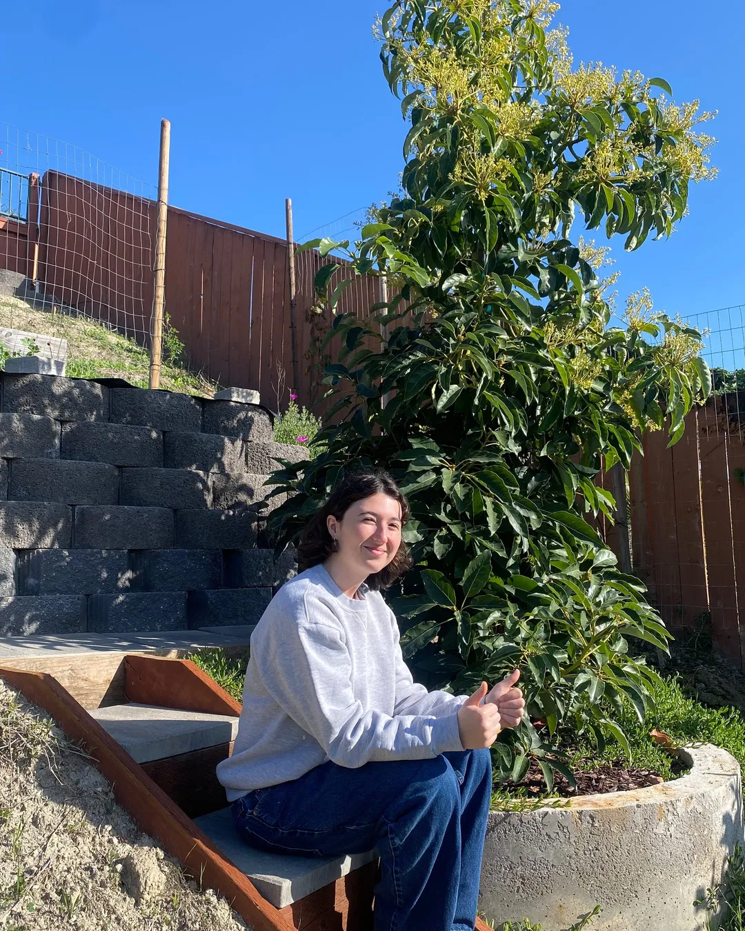 Plant photo