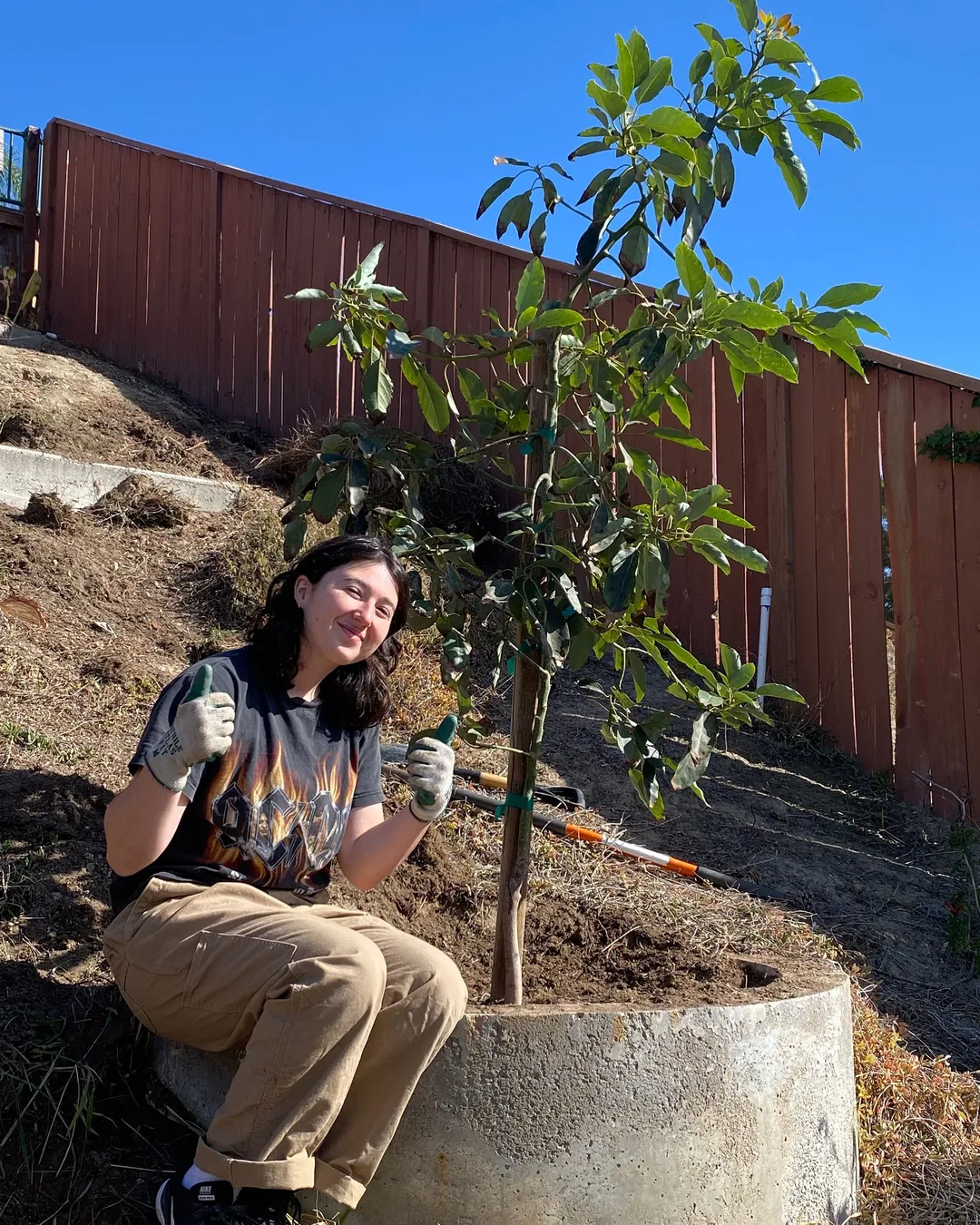 Just planted