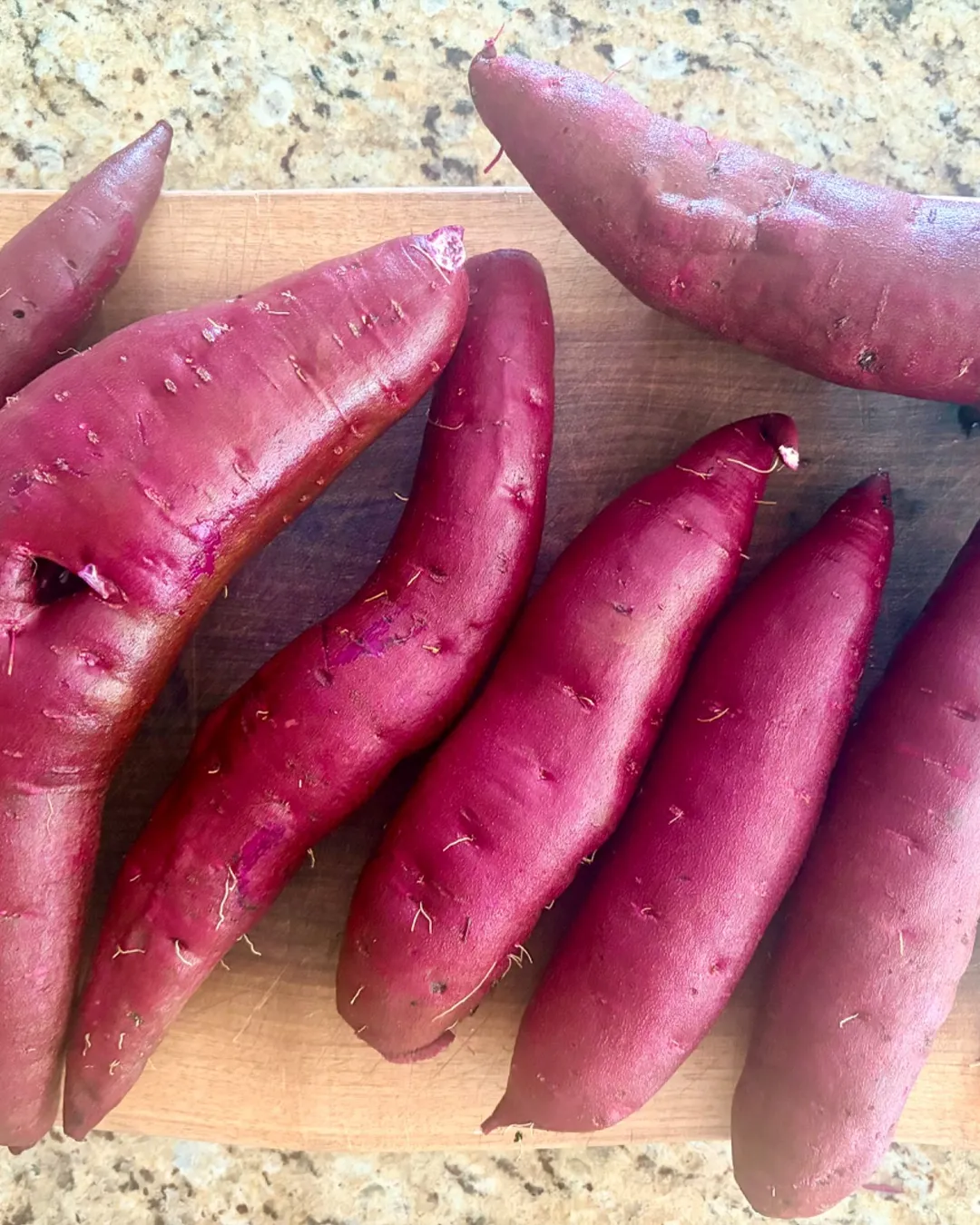 Harvested 10 lbs of Stokes Sweet Potato