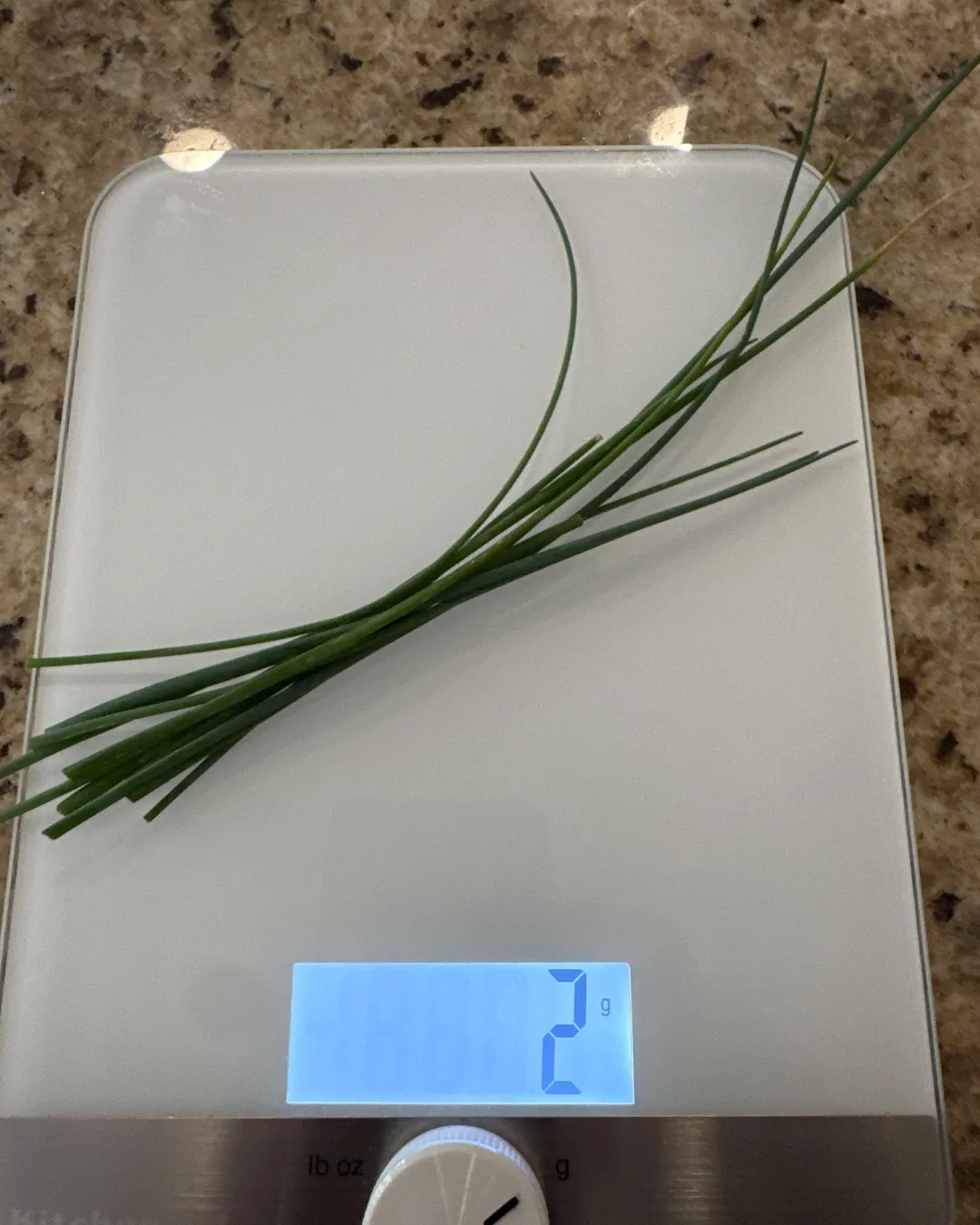 Harvested 2 grams of Chives