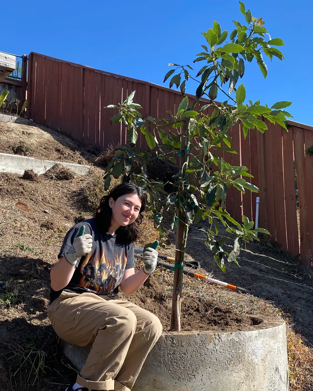 Carly planted with me