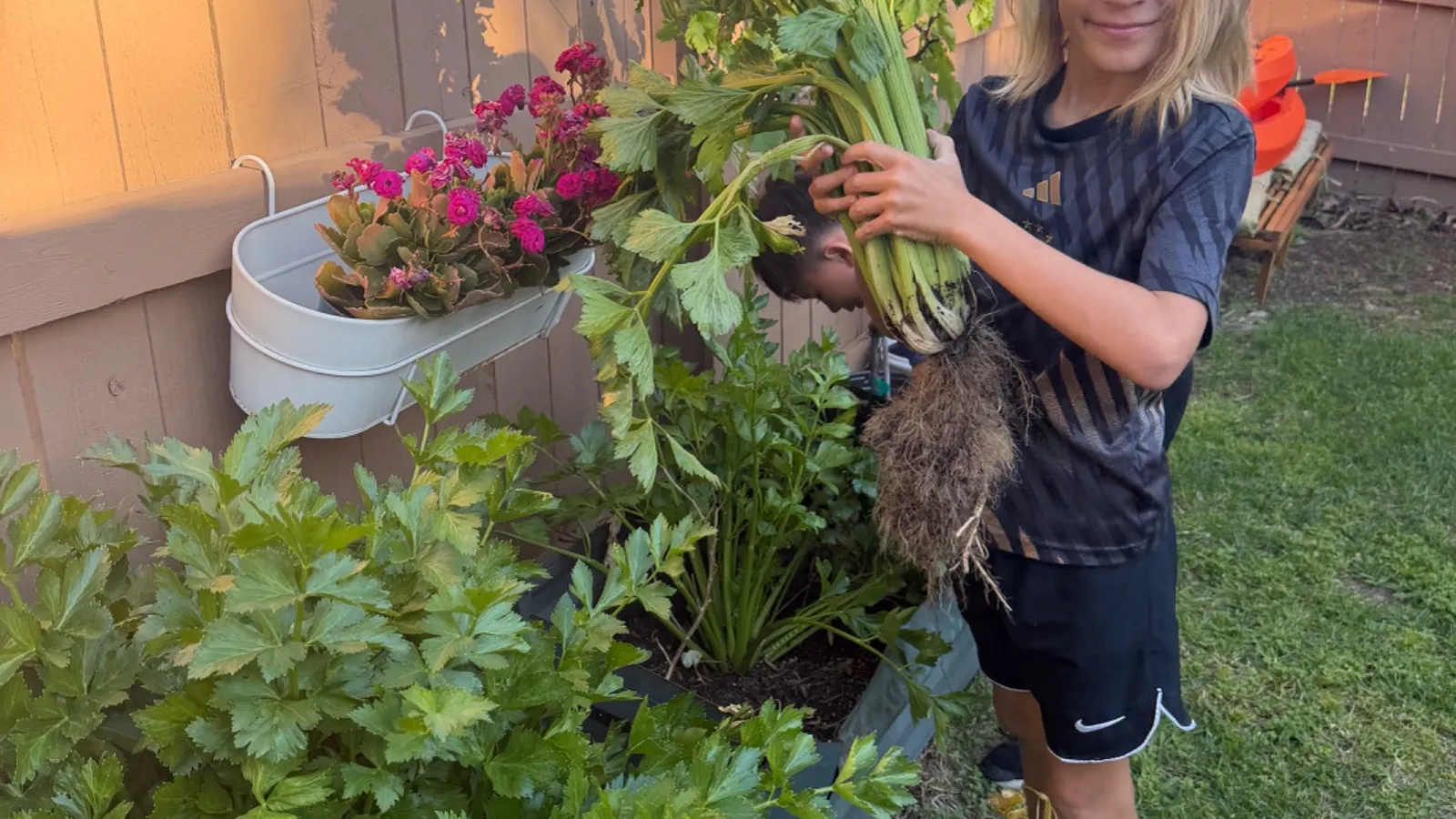 Jael's Garden