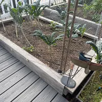 Front Deckside Bed