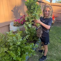 Jael's Garden