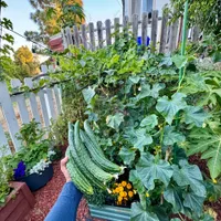 Robert's Garden — view photos