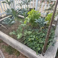 Front Flagpole Bed