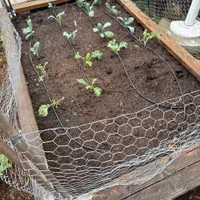 Front Flagpole Bed