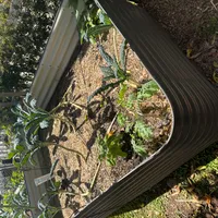 Front Tall Bed