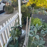 Front Fence Containers