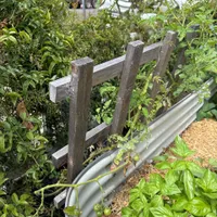 Rapunzel Tomato — view photos