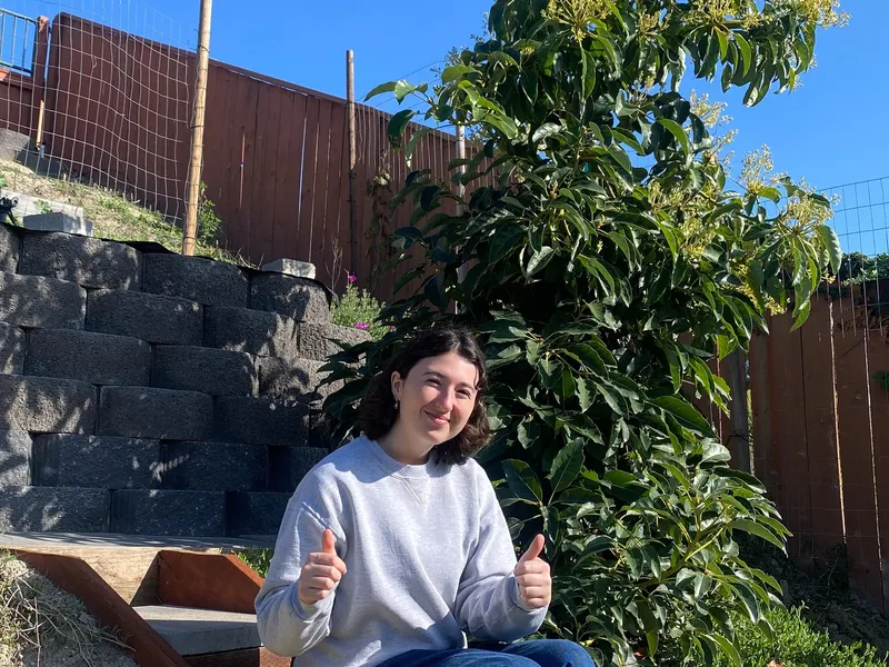 Fuerte Avocado