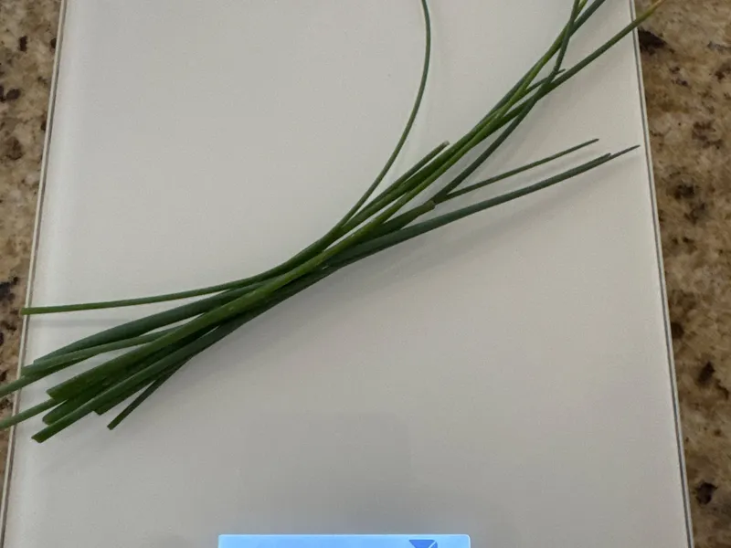 Chives harvest
